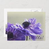 Carte Postale Photo Purple Anemone (Devant / Derrière)