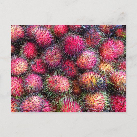 Carte postale photo Rambutans (Devant)