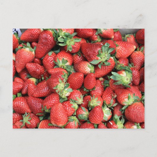 Carte Postale Photo Red Juicy Strawberries (Devant)