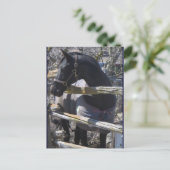 Carte Postale Photo Romeo (Debout devant)