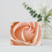 Carte postale photo rose (Debout devant)