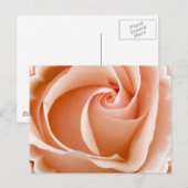 Carte postale photo rose (Devant / Derrière)