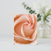 Carte postale photo rose (Debout devant)