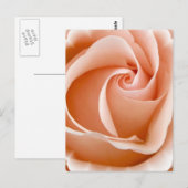 Carte postale photo rose (Devant / Derrière)