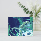 Carte Postale Photo Seahorse (Debout devant)