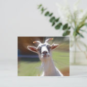 Carte Postale Photo Silly BillyGoat (Debout devant)