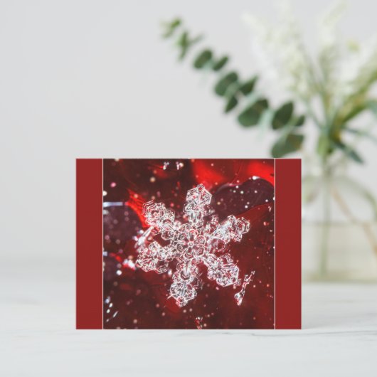 Carte postale photo Snowflake (Debout devant)