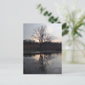 Carte postale photo Sunset Reflections (Debout devant)