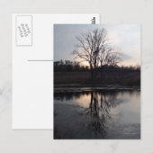 Carte postale photo Sunset Reflections (Devant / Derrière)