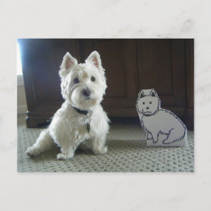 Carte postale photo Twin Westies