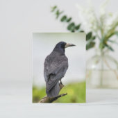 Carte postale photo vintage (Debout devant)