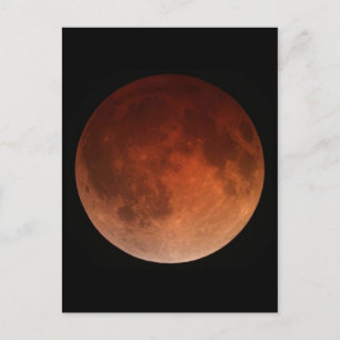 Carte postale photo vintage