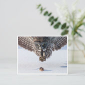 Carte postale photo vintage (Debout devant)