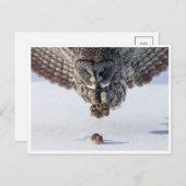 Carte postale photo vintage (Devant / Derrière)