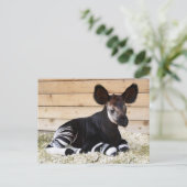 Carte postale photo vintage (Debout devant)