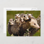 Carte postale photo vintage (Devant / Derrière)