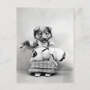 Carte Postale Photo vintage chien