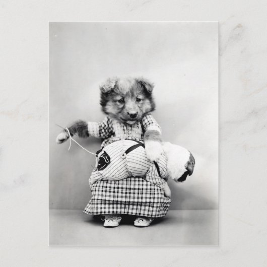 Carte Postale Photo vintage chien (Devant)