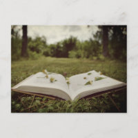 Photo vintage | Scène naturelle du livre et du Fle