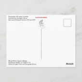 Carte Postale Photographe Avec Caméra Suspendu De Hook (Dos)