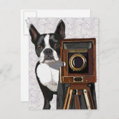 Carte Postale Photographe Boston Terrier 2 (Devant / Derrière)