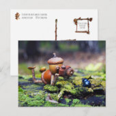 Carte Postale Photographe elfe de maïs avec insecte (Devant / Derrière)