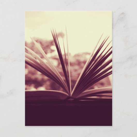 Carte Postale Photographe open book (Devant)