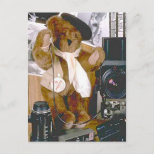Carte Postale Photographe Ours - Journaliste de presse