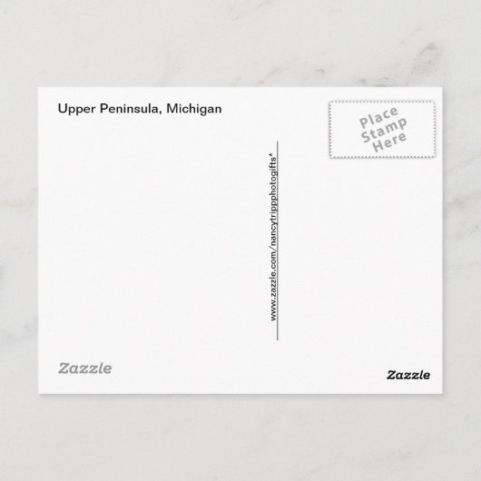 Carte Postale Photographe Wet Autumn Forest Floor (Dos)