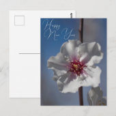 Carte Postale Photographie botanique florale de fleurs d'amandes (Devant / Derrière)