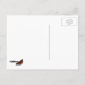 Carte Postale Photographie botanique verte de Bromeliad (Dos)