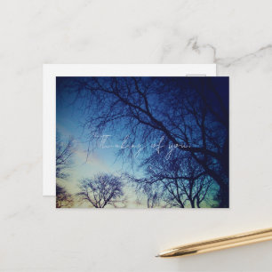 Carte Postale Photographie d'arbres