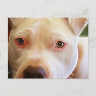 Carte Postale Photographie d'art de chiots Pitbull aux yeux de c