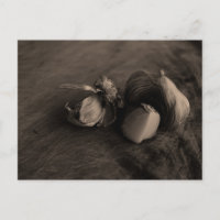Photographie d'art fine nature morte à l'ail