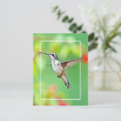 Carte Postale Photographie de colibri (Debout devant)