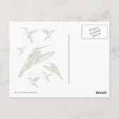 Carte Postale Photographie de colibri (Dos)