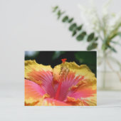 Carte Postale Photographie de fleur d'hibiscus jaune (Debout devant)