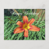 Carte Postale Photographie de Fleur Orange Anniversaire (Devant)