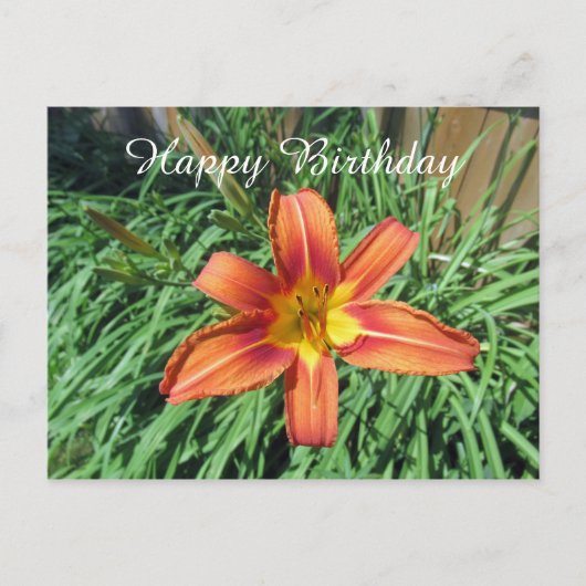 Carte Postale Photographie de Fleur Orange pour Anniversaire (Devant)