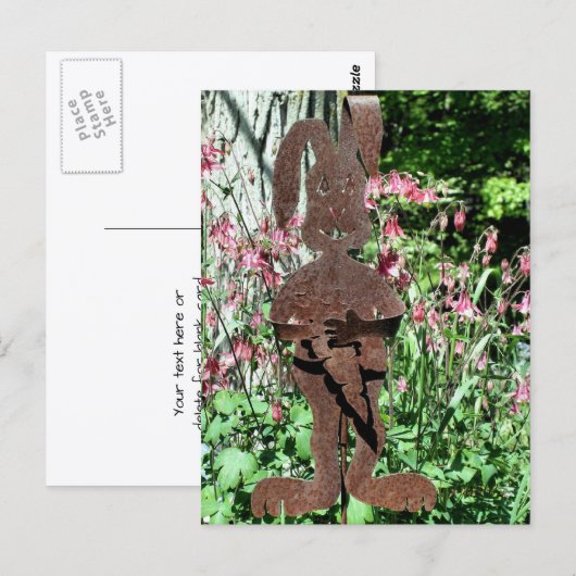 Carte Postale Photographie de jardin de fleurs de lapin rouillé (Devant / Derrière)