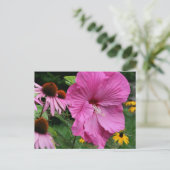 Carte Postale Photographie de jardin de fleurs d'hibiscus et d'a (Debout devant)