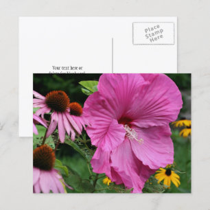 Carte Postale Photographie de jardin de fleurs d'hibiscus et d'a