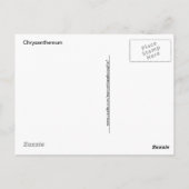 Carte Postale Photographie de la macro Chrysanthème jaune (Dos)