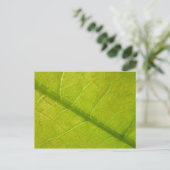 Carte Postale Photographie de la nature botanique de la feuille  (Debout devant)