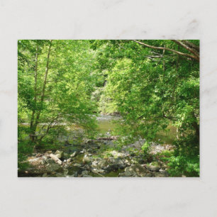 Carte Postale Photographie de la nature dans le Maryland, vue su