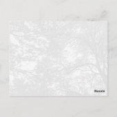 Carte Postale Photographie de l'arbre cool. (Dos)