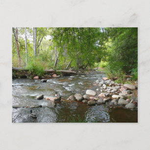 Carte Postale Photographie de nature de Oak Creek et canards col