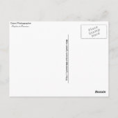 Carte Postale Photographie de Papillon Gwen (Dos)