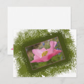 Carte Postale Photographie de Pavot Rose Élégant (Devant / Derrière)