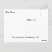 Carte Postale  Photographie de paysage du Wisconsin Dire bonjour (Dos)